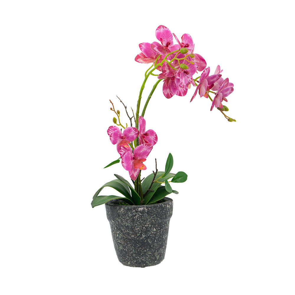 Artekko Orchid Τεχνητή Πλαστική Ροζ Ορχιδέα σε Γλάστρα (26x12x46)cm ARTEKKO